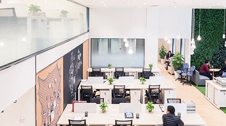 混合办公、多媒体较少